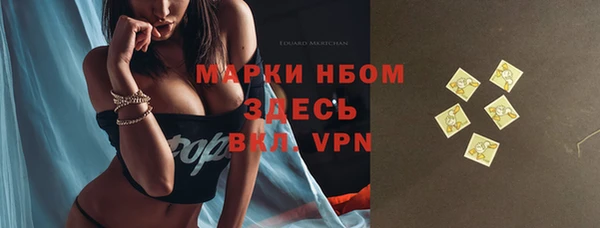 хмурый Надым
