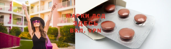 ГАЛЛЮЦИНОГЕННЫЕ ГРИБЫ Алексин