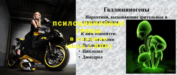 ГАЛЛЮЦИНОГЕННЫЕ ГРИБЫ Алексеевка