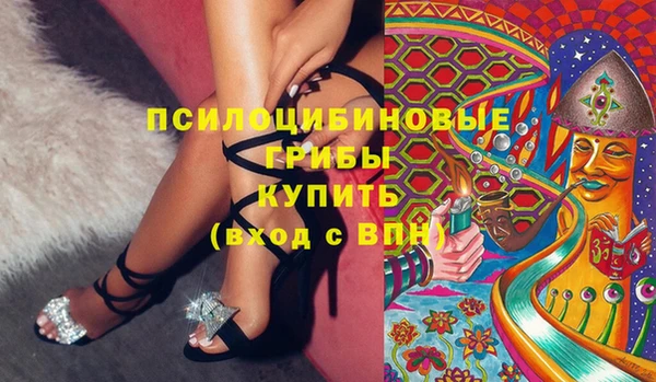 ГАЛЛЮЦИНОГЕННЫЕ ГРИБЫ Алексеевка