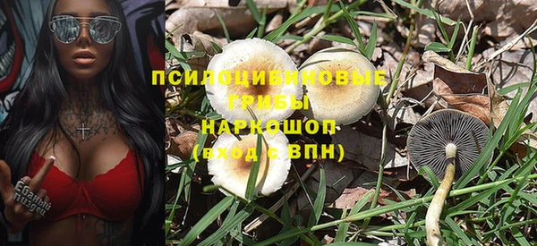 ГАЛЛЮЦИНОГЕННЫЕ ГРИБЫ Алексин