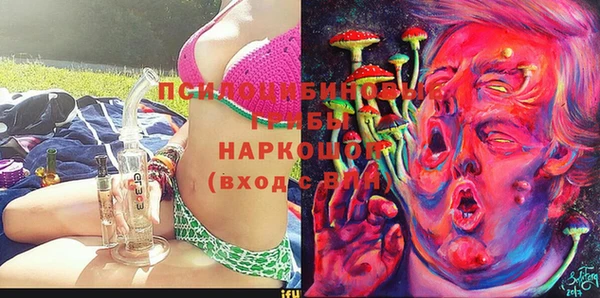 ГАЛЛЮЦИНОГЕННЫЕ ГРИБЫ Алексеевка